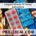 Leopard Miracle Of Honey Instructions new14